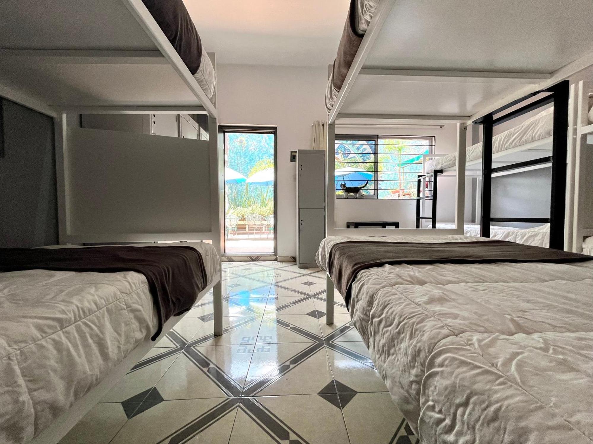 Alto Hostel Ciudad de México Exteriér fotografie